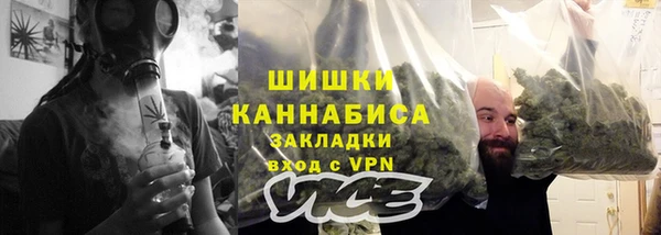 индика Зеленодольск