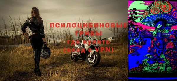 прущие грибы Бородино
