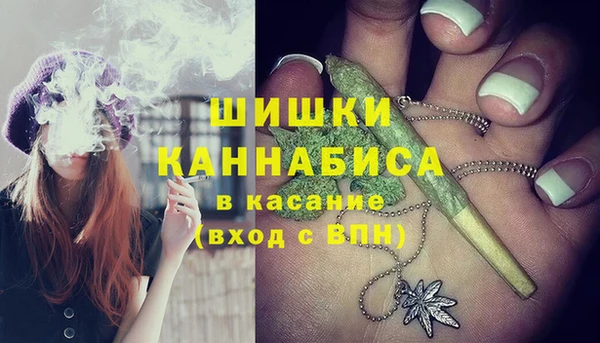 прущие грибы Бородино