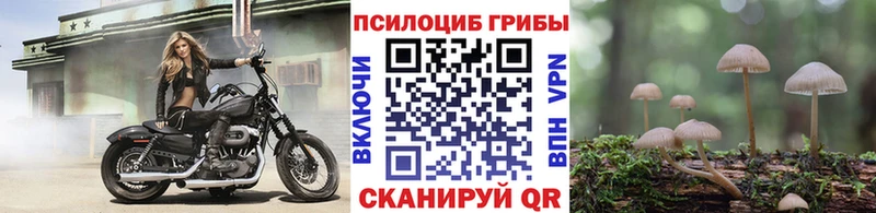 где найти kraken ONION Псилоцибиновые грибы мицелий Северобайкальск