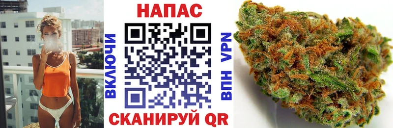 Шишки марихуана планчик  KRAKEN зеркало  Северобайкальск 